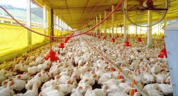 Declaração de Biosseguridade deve ser enviada até o próximo sábado